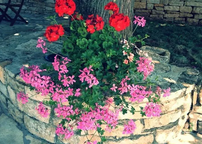 Vila Holiday Home Sandra