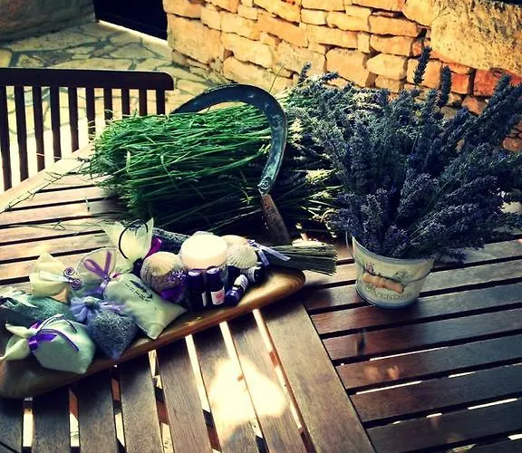 Holiday Home Sandra Vila *