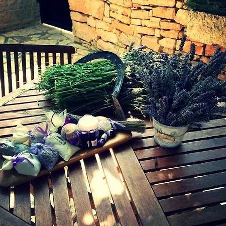 Holiday Home Sandra Villa *